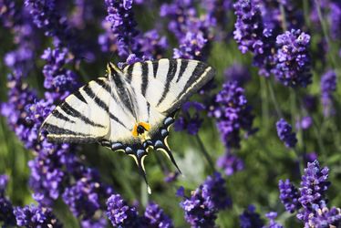 Fotos: Fides Auf der Maur